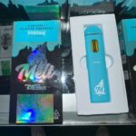 Melt Disposable vape