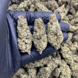 Buy Ice Cream Cake strain