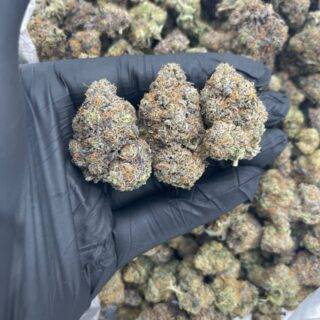 TOP GRADE BLUE COOKIES