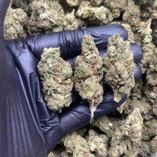 weeding cake strain