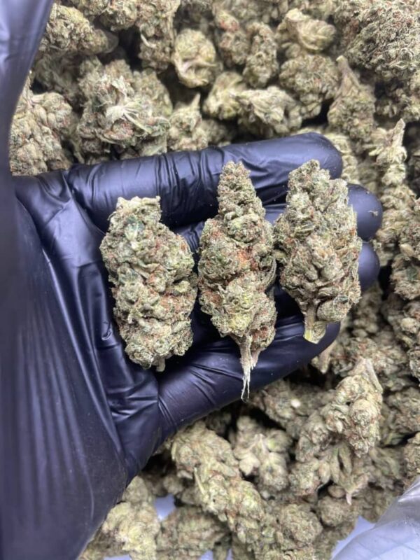 weeding cake strain