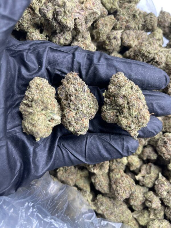 Jungle Kush