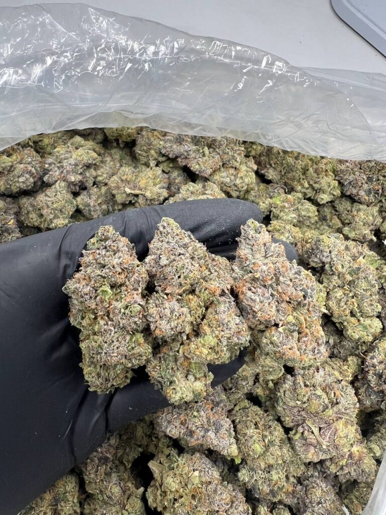 BLUE COOKIES GELATO