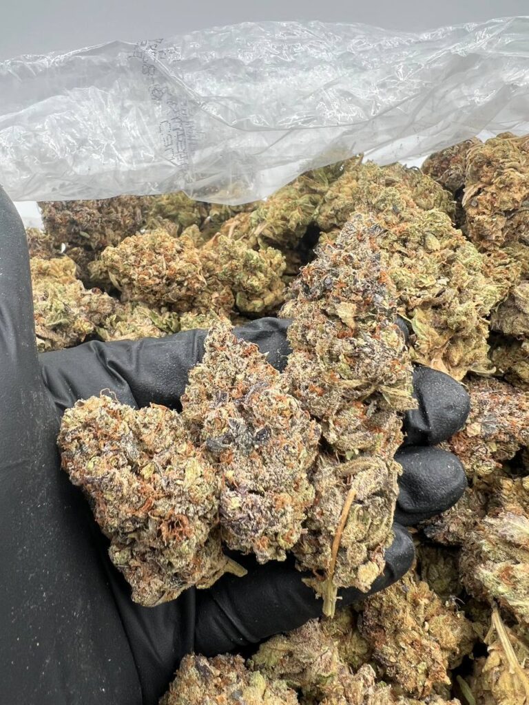 SAPPHIRE kush Strain