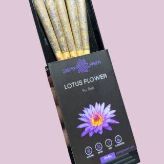 blue lotus flower