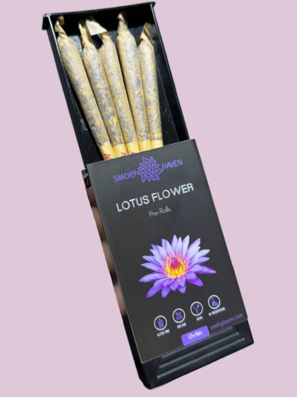 blue lotus flower
