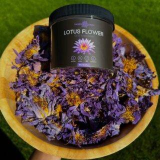 lotus flower