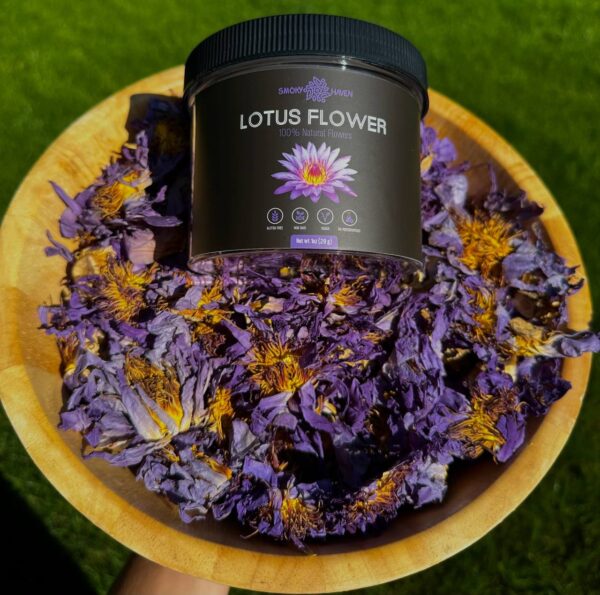 lotus flower
