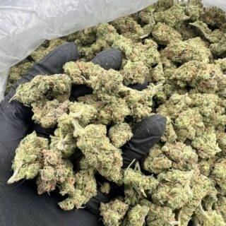 Sour Diesel strain