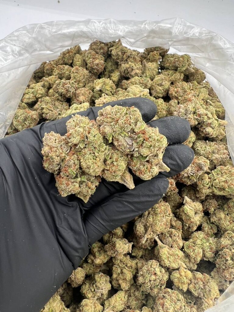 Lemon Cherry Gelato