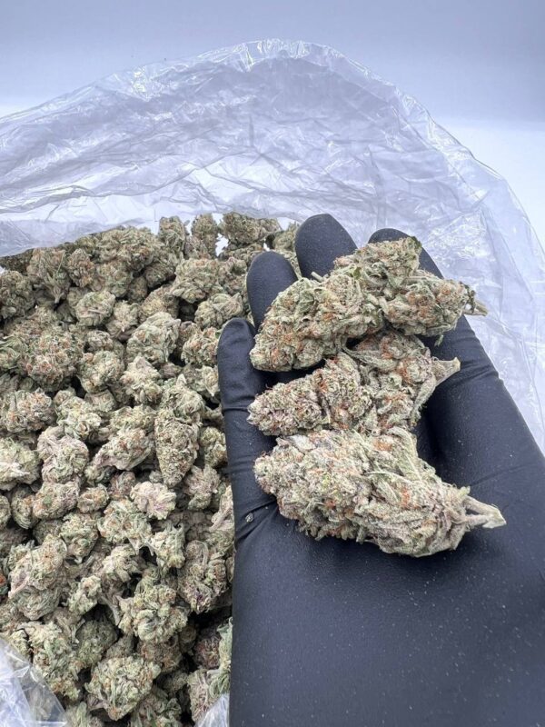 Purple Punch