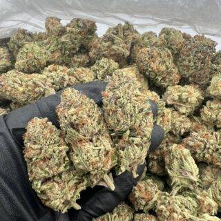 Purple Punch