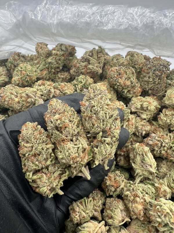 Purple Punch
