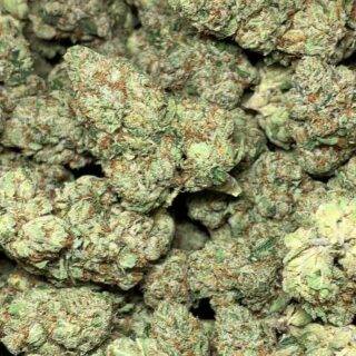 skywalker og