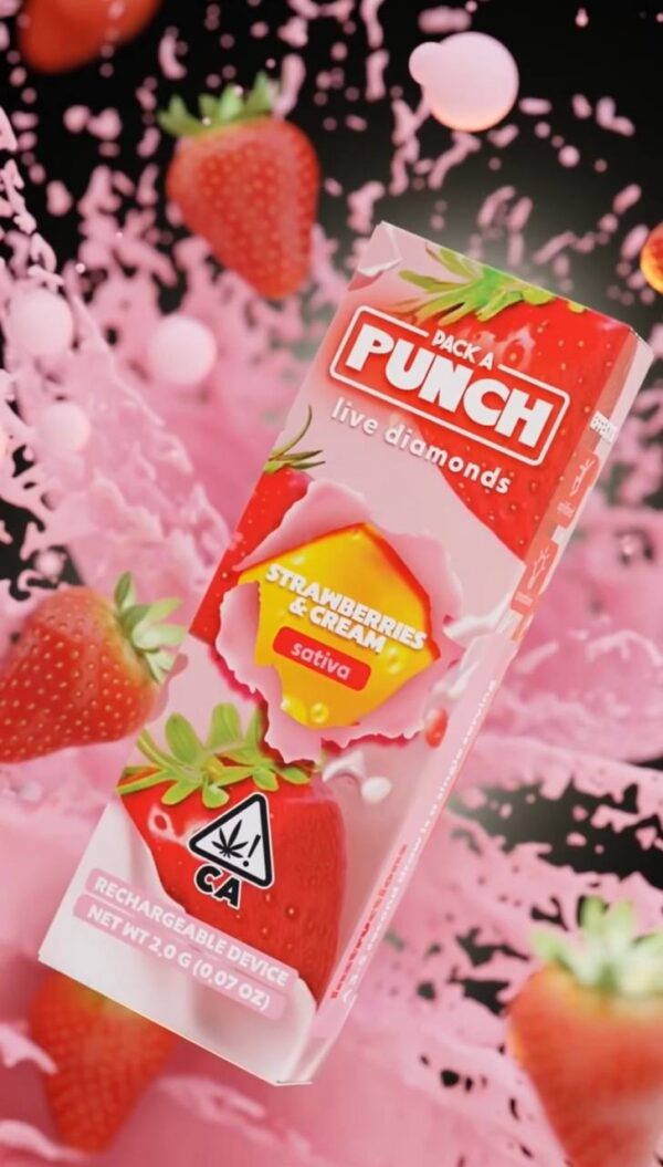 Pack A Punch 2G Disposable