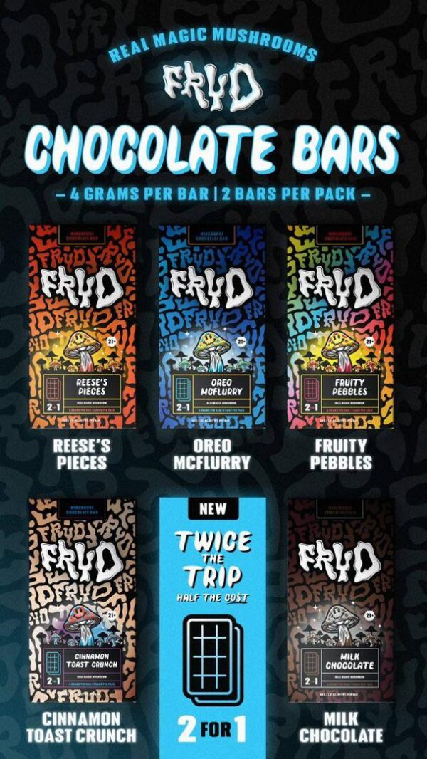 Fryd 4g Chocolate Shroom Bars