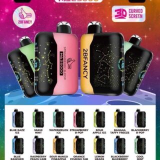 2Bfancy disposable