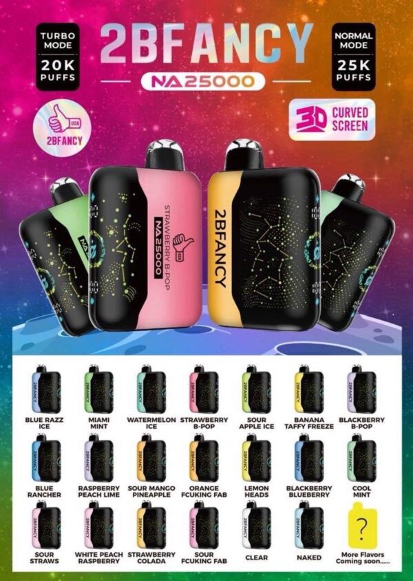 2Bfancy disposable