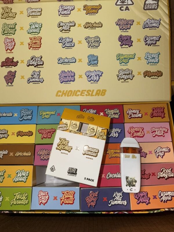 Choices Labs Dual flavor 2G Disposable