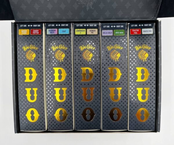 Big Chief Duo 2g Disposable